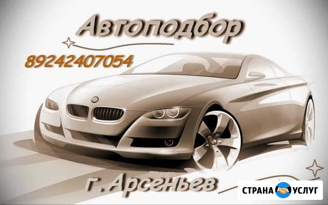 Профессиональная помощь в подборе автомобиля Арсеньев - изображение 1