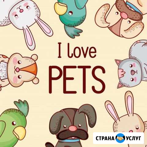 Передержка Санкт-Петербург - изображение 1