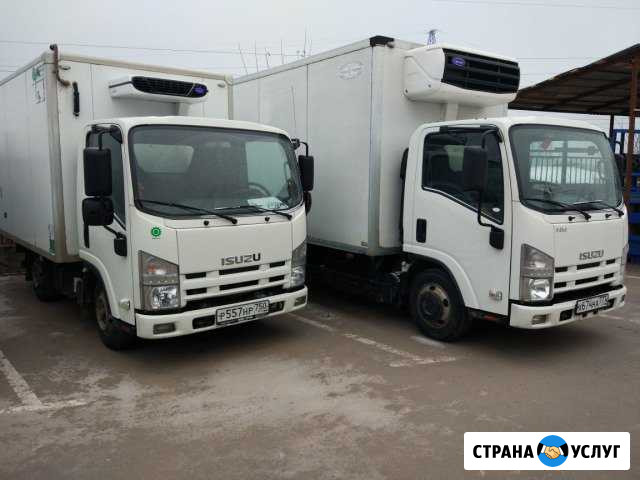 Грузоперевозки Рефрижератор 1-3-5-10-20 тонн Домодедово - изображение 1