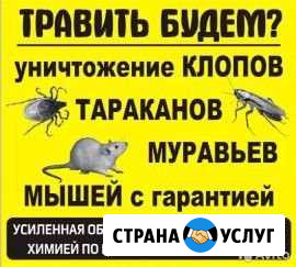 Уничтожение тараканов клопов обработка Энгельс - изображение 1