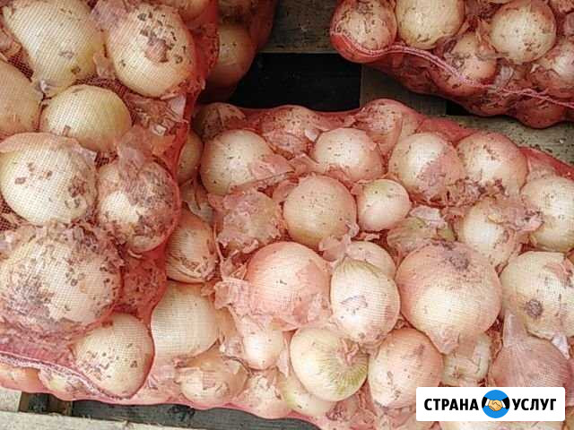 Фрукты овощи Новосибирск - изображение 1