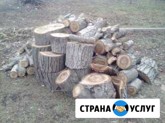 Спил деревьев Советская - изображение 1