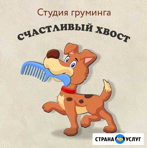 Стрижка собак и кошек Липецк - изображение 1