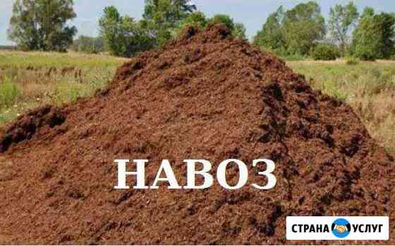 Навоз Чебоксары