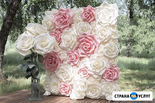 Фотозона Тула - изображение 1