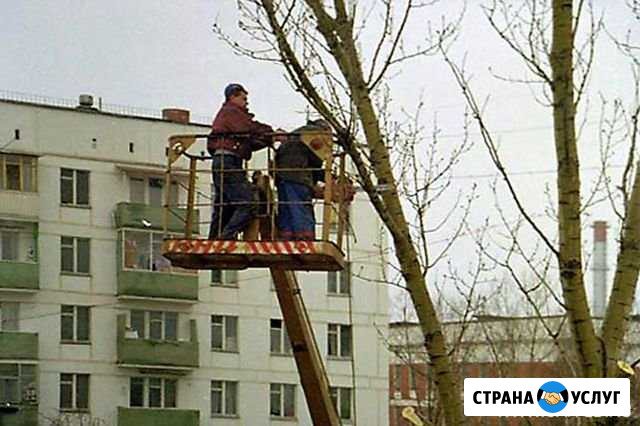 Спил деревьев,кронирование Челябинск - изображение 1