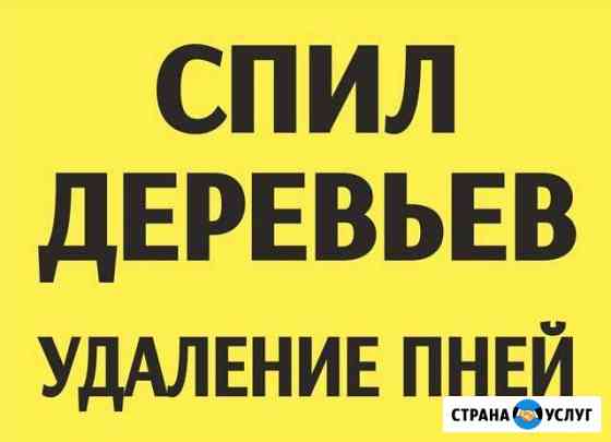 Спил деревьев,расчистка участков,удаление пней Нижний Новгород