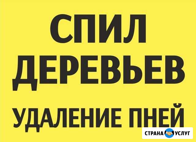 Спил деревьев,расчистка участков,удаление пней Нижний Новгород - изображение 1