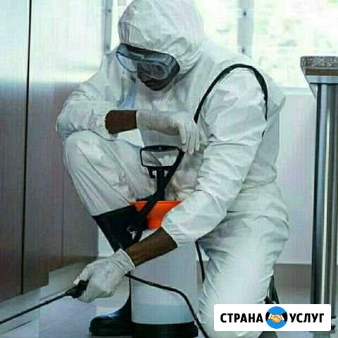 Дезинфекция, дезинсекции помещений Москва - изображение 1
