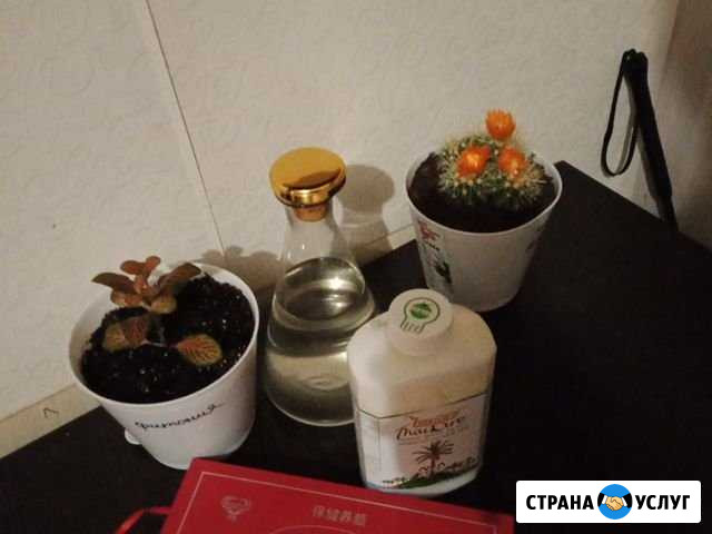 Массажист Санкт-Петербург - изображение 1