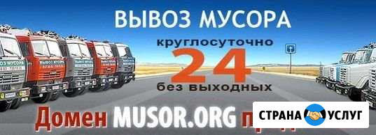 Продается домен Musor.org, тематика: вывоз мусора Реутов - изображение 1