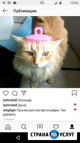 Передержка котиков,хомяков,попугаев,рыб Евпатория - изображение 1