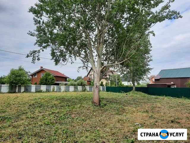 Покос травы. спил деревьев Калининград - изображение 1