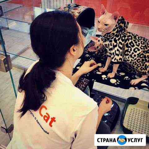 Зоогостиница, передержка для кошек и собак Подольск