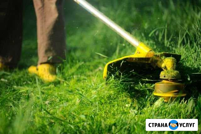 Покос травы Владимир - изображение 1
