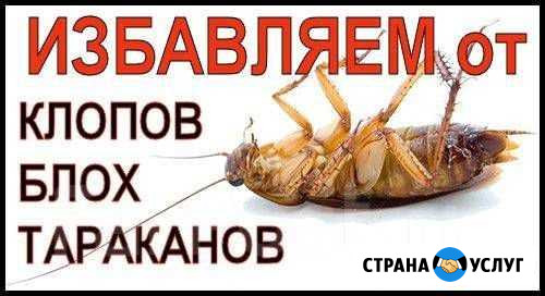Уничтожения насекомых Рязань - изображение 1