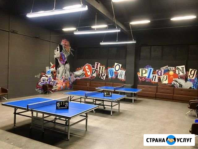 Аренда теннисного стола Уфа - изображение 1