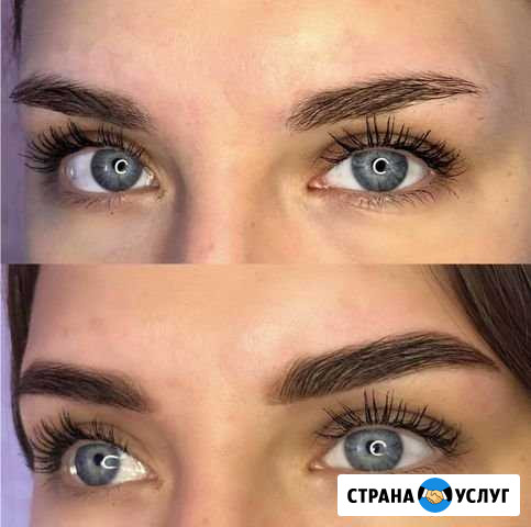 Бровист Альметьевск - изображение 1