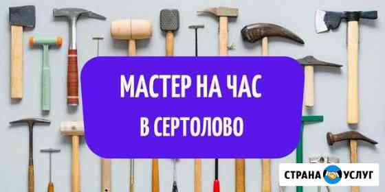 Мастер на час Сертолово