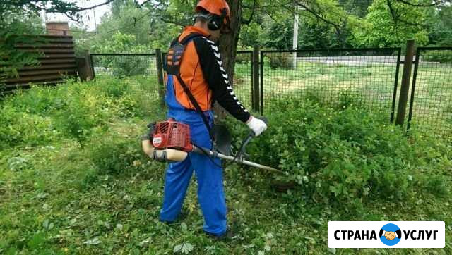Покос травы, вырубка кустов, уборка муссора Клинцы - изображение 1