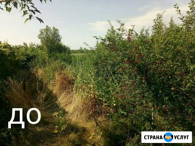 Расчистка участка, покос травы, спил деревьев Энгельс - изображение 1