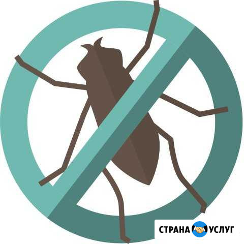 Уничтожение тараканов, клопов, муравьев(насекомых) Ростов-на-Дону - изображение 1