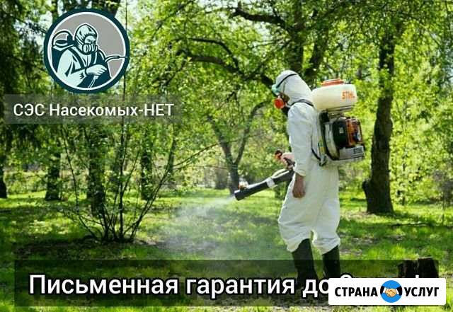 Уничтожение слепней, комаров, клещей, ос, мух Павловская Слобода - изображение 1