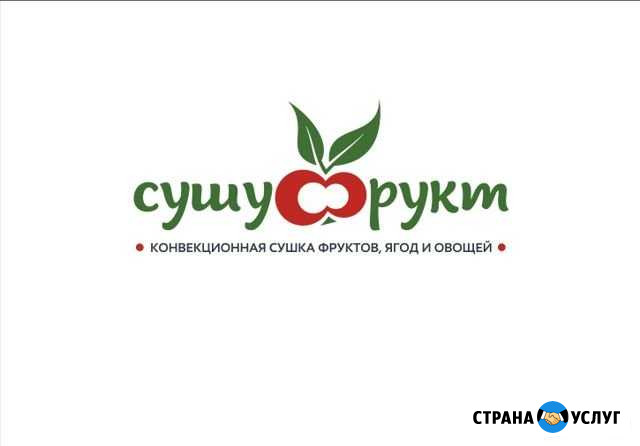 Промышленная сушка ягод, фруктов и овощей Борисоглебск - изображение 1