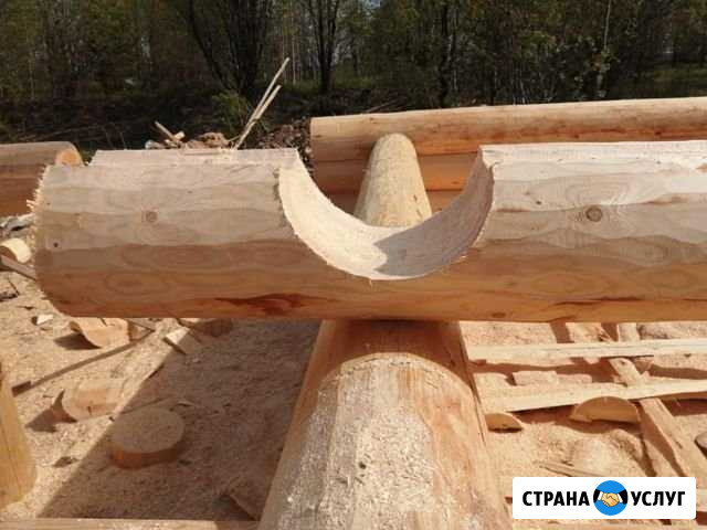 Срубы домов бань от производителя из зимнего отбор Вологда - изображение 1