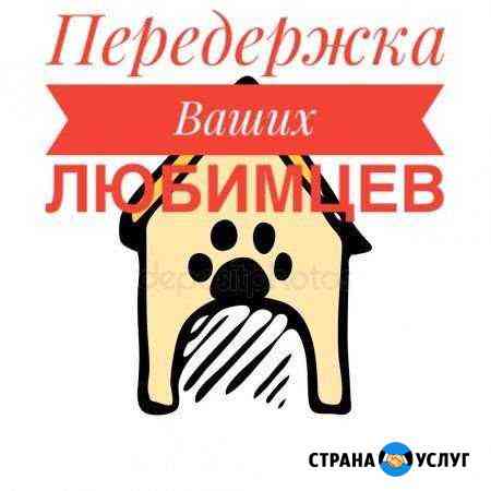 Передержка Владикавказ