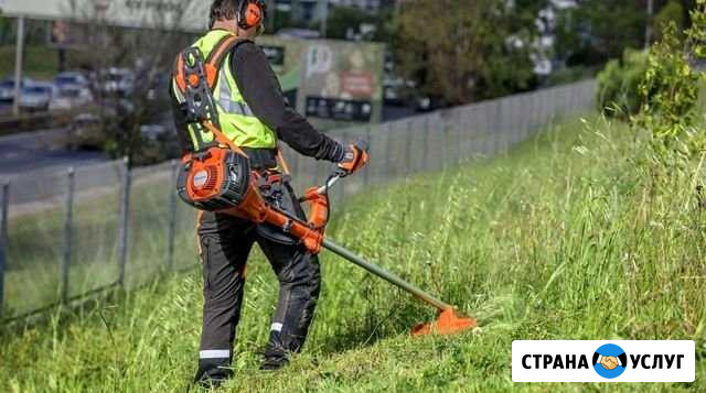 Покос травы Семикаракорск - изображение 1