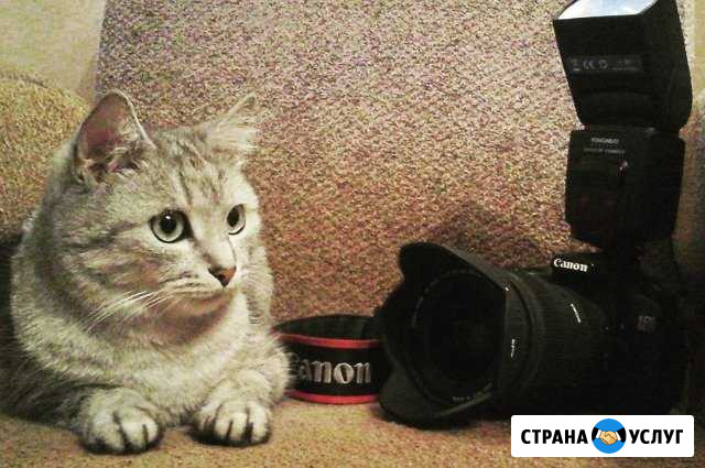 Фотограф Фотосъемка Фотосессия Волгоград - изображение 1