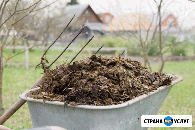 Навоз Колпашево - изображение 1