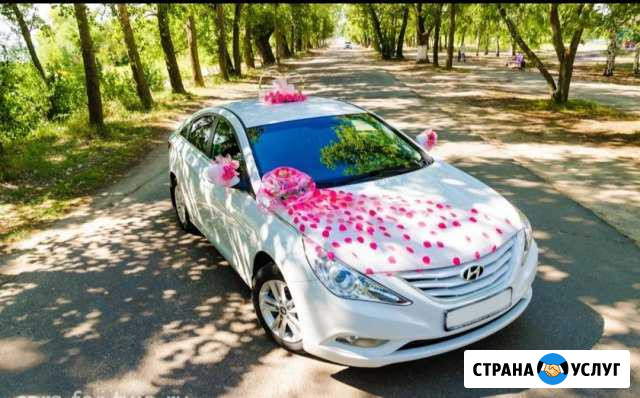 Прокат украшений на авто Петропавловск-Камчатский - изображение 1