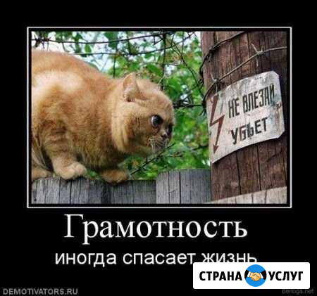Коррекция текстов,проверка грамматики Астрахань - изображение 1