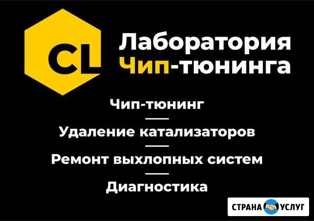 Удаление катализатора и прошивка Евро-2 Екатеринбург - изображение 1