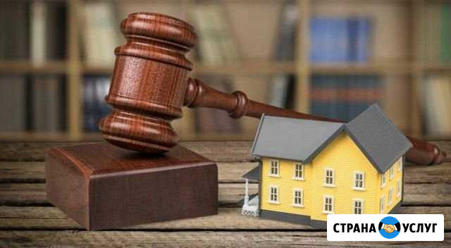 Представлю ваши интересы на торгах (все виды) Санкт-Петербург - изображение 1
