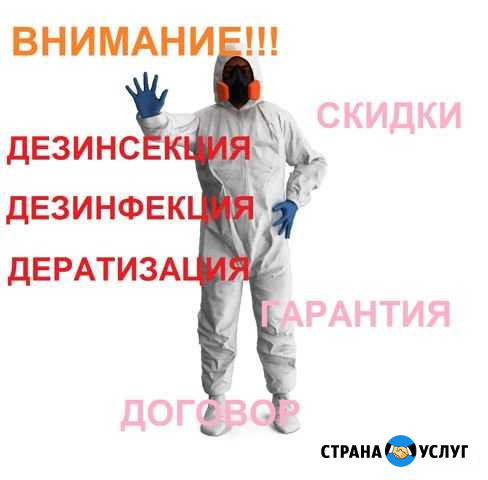 Уничтожение ос, осиных гнезд, мух клопов тараканов Самара - изображение 1