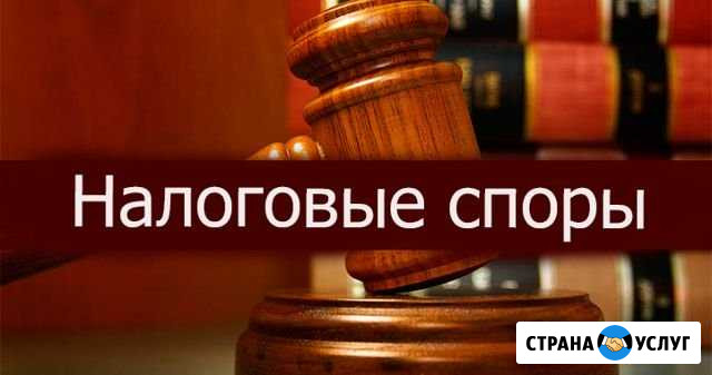 Налоговые споры Карпогоры - изображение 1