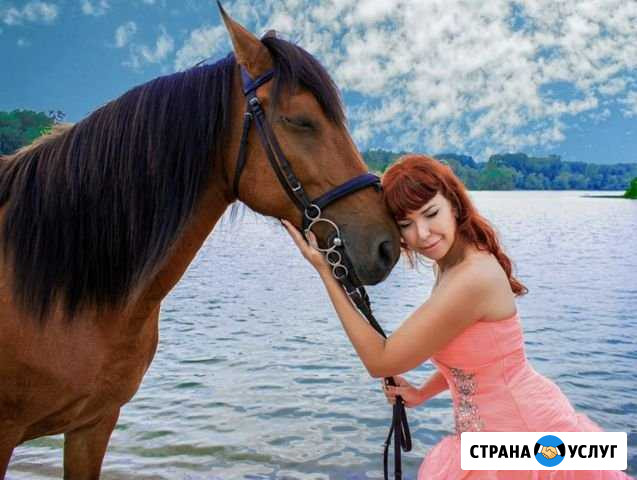 Индивидуальный занятия на лошади Новосибирск - изображение 1