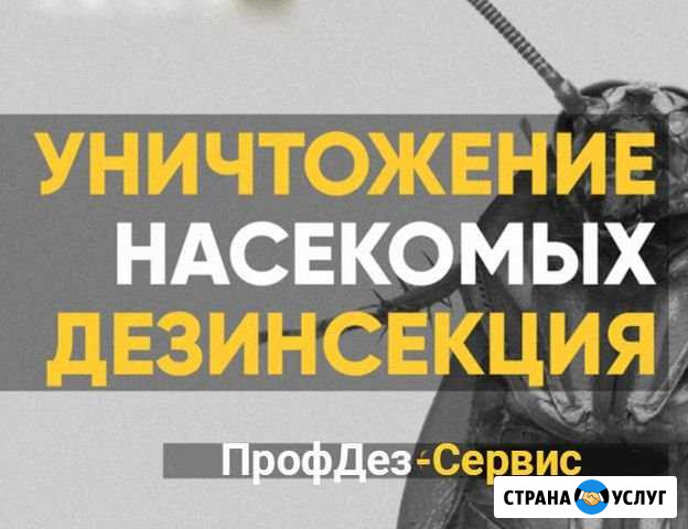 Избавим от клопов, тараканов и других насекомых Белокуриха - изображение 1