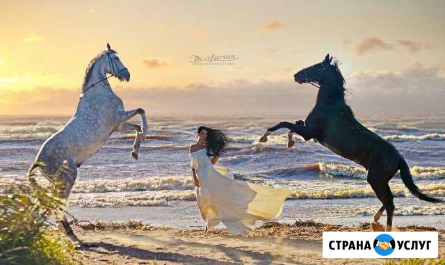 Конный клуб Ландыш Гатчина - изображение 1