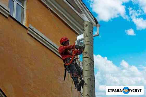 Удаление (спил) деревьев и веток. Екатеринбург Екатеринбург