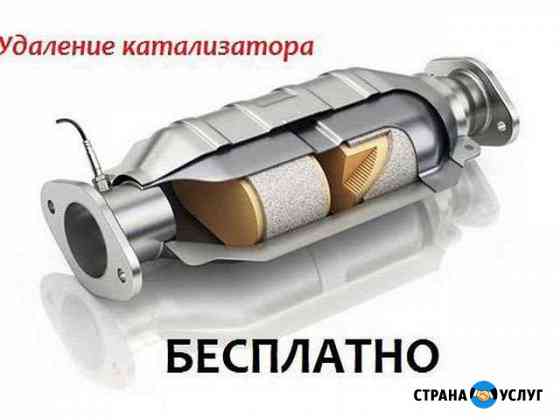 Удаление катализатора бесплатно Новосибирск