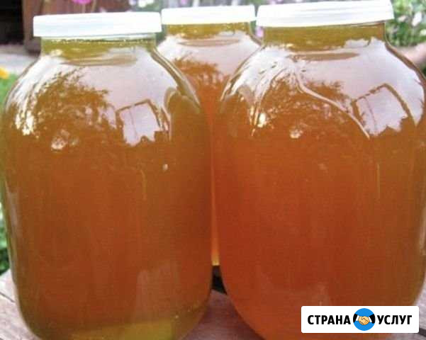 Мёд разнотравья Грозный - изображение 1
