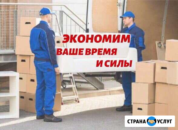 Разнорабочий Бор - изображение 1
