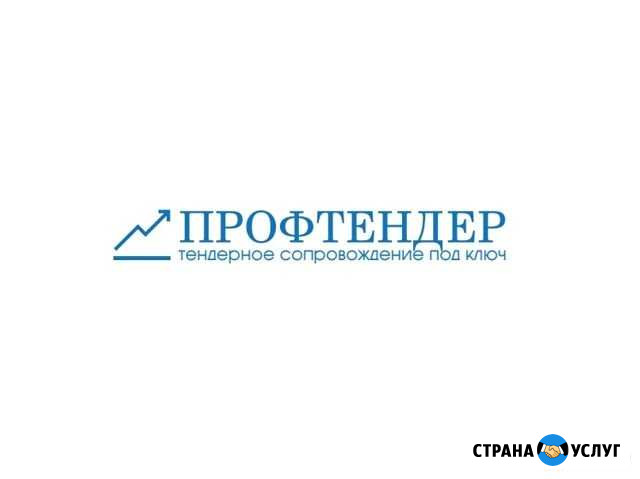 Тендерное сопровождение Астрахань - изображение 1