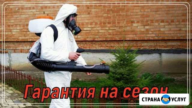 Обработка участка от клещей, кротов, борщевика, ос Хотьково - изображение 1