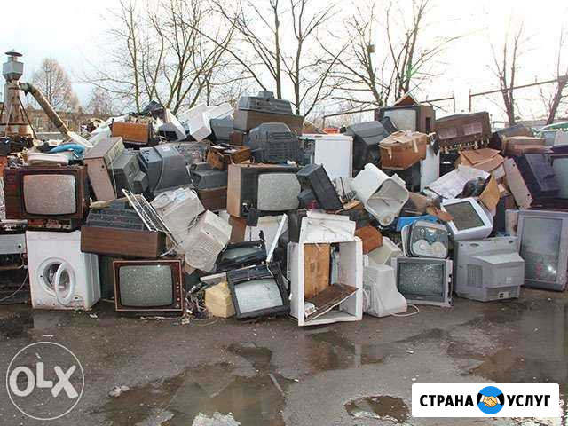 Бесплатный вывоз Оренбург - изображение 1