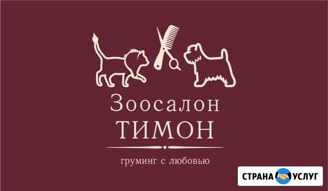 Стрижка собачек и кошек Мытищи - изображение 1